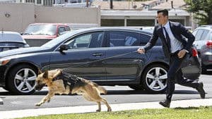 Le meilleur des deux...