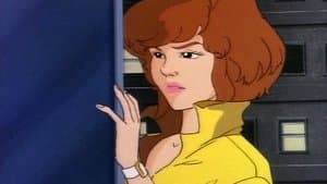 Sur la piste des Tortues