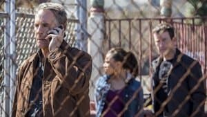 À la poursuite de l'appât