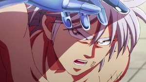 Hym aux cheveux d'argent