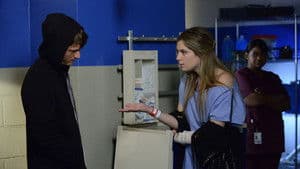 Liar Liar Pants on Fire