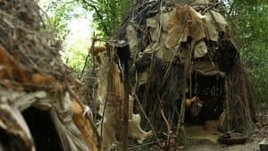 Propriétaire de père en fils