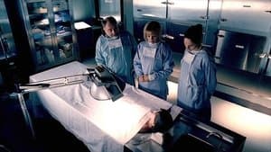 Que justice soit faite