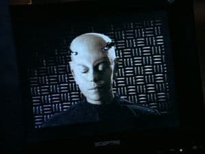 Vivre libre ou mourir