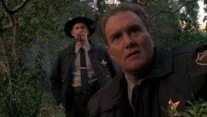 La Face cachée du Diable